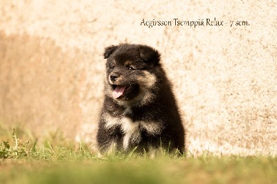 Tsemppiä RELAX